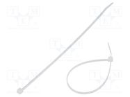 Cable tie; L: 160mm; W: 2.5mm; polyamide; 80N; natural; Ømax: 41mm FIX&FASTEN