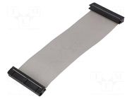 Ribbon cable with IDC connectors; Tape ph: 1.27mm; 0.15m AMPHENOL