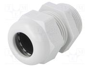 Cable gland; PG21; IP68; polyamide; light grey; V-TEC PG OBO BETTERMANN