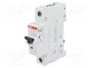 Circuit breaker; 230/400VAC; Inom: 3A; Poles: 1; Charact: C; 10kA ABB