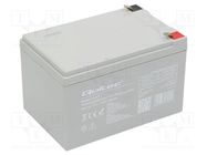 Re-battery: acid-lead; 12V; 14Ah; AGM; maintenance-free QOLTEC