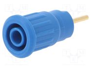 Connector: 4mm banana; socket; 24A; 1kV; L: 35.5mm; blue; on panel STÄUBLI