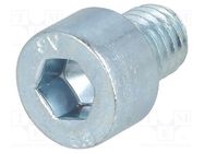 Screw; M8x10; 1.25; Head: cheese head; hex key; HEX 6mm; steel; zinc BOSSARD