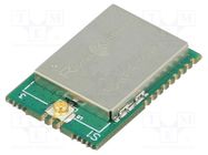 Module: RF; 868MHz; SPI; -118dBm; 1.8÷3.6VDC; 16dBm; SMD; 15x22mm RADIOCONTROLLI