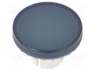 Actuator lens EAO