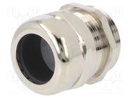 Cable gland; with earthing; PG29; IP68; brass; SKINTOP® MS-SC LAPP