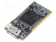 Programmer: microcontrollers; STM32; USB; USB STMicroelectronics