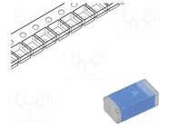 Antenna; Bluetooth,WiFi; 2dBi; linear; 3.2x1.6x1.2mm; SMD; 50Ω 