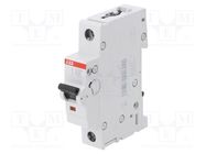 Circuit breaker; 230VAC; Inom: 25A; Poles: 1; Charact: B; 6kA; IP20 ABB