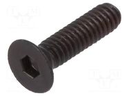 Screw; M2x8; 0.4; Head: countersunk; hex key; HEX 1.3mm; steel BOSSARD
