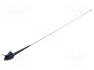 Antenna assembly; 0.638m; Daewoo; Rod inclination: regulated UNICON