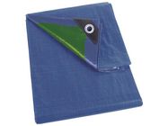 Tarpaulin - Blue/Green - Regular - 5 x 5 m