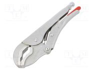 Pliers; Morse's,locking; 250mm 