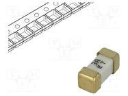 Fuse: fuse; time-lag; 3A; 125VAC; 125V; 125VDC; SMD; ceramic; 449 LITTELFUSE