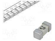 Fuse: fuse; time-lag; 1A; 125VAC; 125V; 125VDC; SMD; ceramic; 454 LITTELFUSE