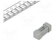 Fuse: fuse; quick blow; 3.15A; 250VAC; 250V; SMD; ceramic; 464 LITTELFUSE