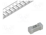 Fuse: fuse; time-lag; 1A; 250VAC; 250V; SMD; ceramic; 12.1x4.5mm; 465 LITTELFUSE