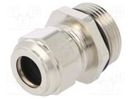 Cable gland; M25; 1.5; IP68; brass; ANACONDA UL/CSA ANAMET EUROPE