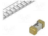 Fuse: fuse; ultra rapid; 750mA; 125VAC; 125V; 125VDC; SMD; ceramic LITTELFUSE