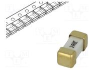 Fuse: fuse; ultra rapid; 2A; 125VAC; 125V; 125VDC; SMD; ceramic; 448 