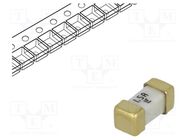 Fuse: fuse; ultra rapid; 1.5A; 125VAC; 125V; 125VDC; SMD; ceramic LITTELFUSE