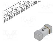 Fuse: fuse; ultra rapid; 1A; 125VAC; 125V; 125VDC; SMD; ceramic; 453 LITTELFUSE