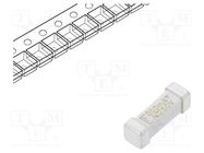 Fuse: fuse; time-lag; 500mA; 250VAC; 250V; 125VDC; SMD; ceramic; 443 