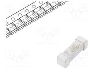 Fuse: fuse; time-lag; 3A; 250VAC; 250V; 125VDC; SMD; ceramic; 443 LITTELFUSE