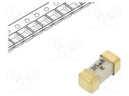 Fuse: fuse; ultra rapid; 315mA; 125VAC; 125V; 125VDC; SMD; ceramic LITTELFUSE