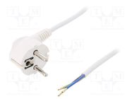 Cable; 3x0.75mm2; CEE 7/7 (E/F) plug angled,wires,SCHUKO plug PLASTROL