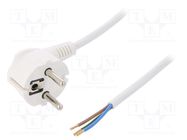 Cable; 3x1mm2; CEE 7/7 (E/F) plug angled,wires,SCHUKO plug; PVC PLASTROL