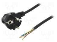 Cable; 3x1mm2; CEE 7/7 (E/F) plug angled,wires,SCHUKO plug; PVC PLASTROL