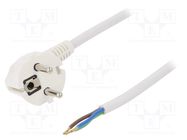 Cable; 3x1.5mm2; CEE 7/7 (E/F) plug angled,wires,SCHUKO plug PLASTROL