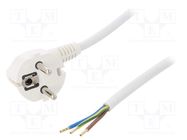 Cable; 3x1.5mm2; CEE 7/7 (E/F) plug angled,wires,SCHUKO plug PLASTROL