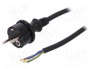 Cable; 3x1mm2; CEE 7/7 (E/F) plug,wires,SCHUKO plug; rubber; 2m PLASTROL