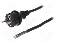 Cable; 3x1mm2; CEE 7/7 (E/F) plug,wires,SCHUKO plug; rubber; 5m PLASTROL