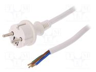 Cable; 3x2.5mm2; CEE 7/7 (E/F) plug,wires,SCHUKO plug; PVC; 2m PLASTROL