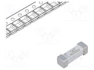 Fuse: fuse; time-lag; 1A; 250VAC; 250V; 125VDC; SMD; ceramic; 443 LITTELFUSE