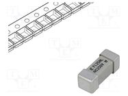 Fuse: fuse; quick blow; 1.25A; 250VAC; 250V; SMD; ceramic; 464 LITTELFUSE