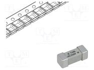 Fuse: fuse; time-lag; 4A; 250VAC; 250V; SMD; ceramic; 12.1x4.5mm; 465 LITTELFUSE