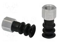 Suction cup; 14mm; G1/8" IG; Shore hardness: 55; 0.975cm3; FSG SCHMALZ