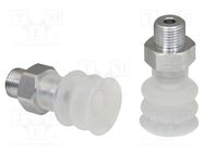 Suction cup; 18mm; G1/8" AG; Shore hardness: 55; 1.35cm3; FSG SCHMALZ