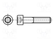 Screw; M10x20; 1.5; Head: cheese head; hex key; HEX 8mm; DIN 912 KRAFTBERG