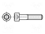 Screw; M3x20; 0.5; Head: cheese head; hex key; HEX 2.5mm; DIN 912 KRAFTBERG