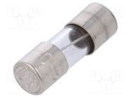 Fuse: fuse; time-lag; 0.25A; 250VAC; cylindrical,glass; 5x15mm ESKA