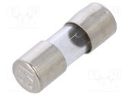 Fuse: fuse; quick blow; 1A; 250VAC; cylindrical,glass; 5x15mm ESKA