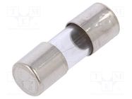 Fuse: fuse; quick blow; 0.25A; 250VAC; cylindrical,glass; 5x15mm ESKA