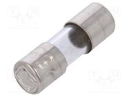 Fuse: fuse; quick blow; 0.1A; 250VAC; cylindrical,glass; 5x15mm ESKA