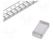 Fuse: fuse; time-lag; 4.5A; 32VDC; SMD; ceramic; 3.18x1.52x0.58mm LITTELFUSE