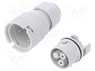 Connector: AC supply; screw terminal; female; 9÷12mm; 1÷2.5mm2 AAG STUCCHI